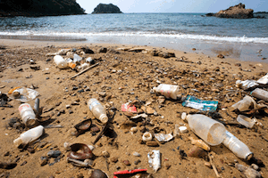 We can handle the truth